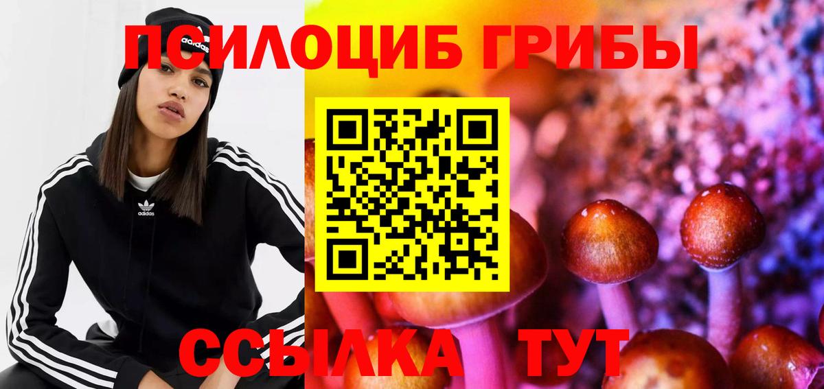 Нурлат  Галлюциногенные грибы мухоморы  Вход с VPN 